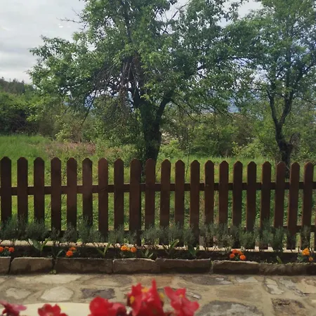 къщата на музиканта Casa de hóspedes
