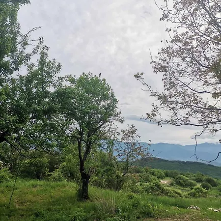 къщата на музиканта Lešten