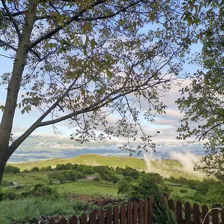 къщата на музиканта *