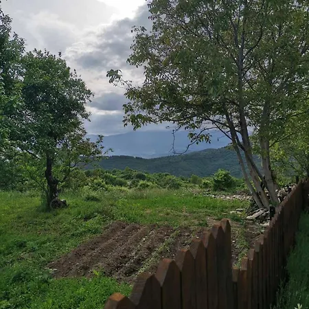 Penzion къщата на музиканта