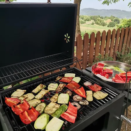 Gasthof къщата на музиканта