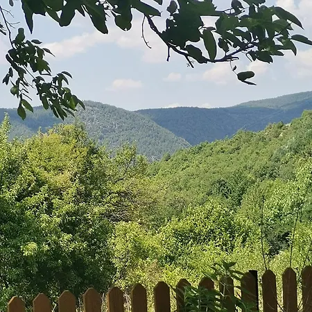 къщата на музиканта 3*