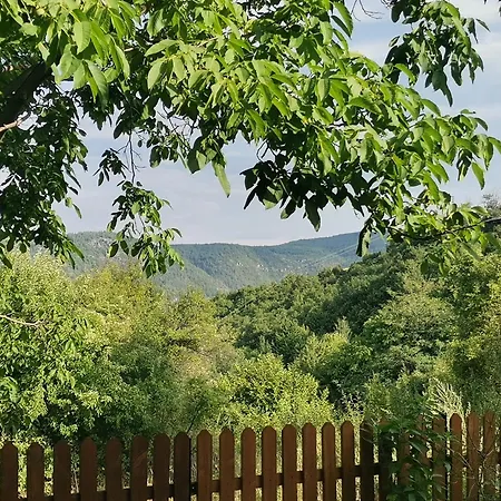 къщата на музиканта Gasthof