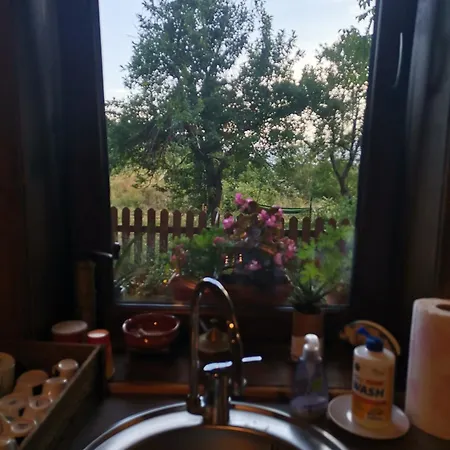 къщата на музиканта Leşten