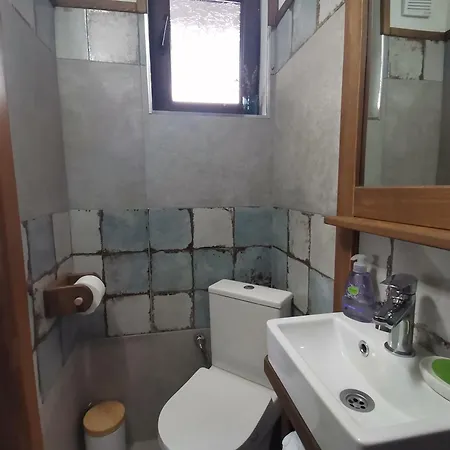 къщата на музиканта Pensiune *