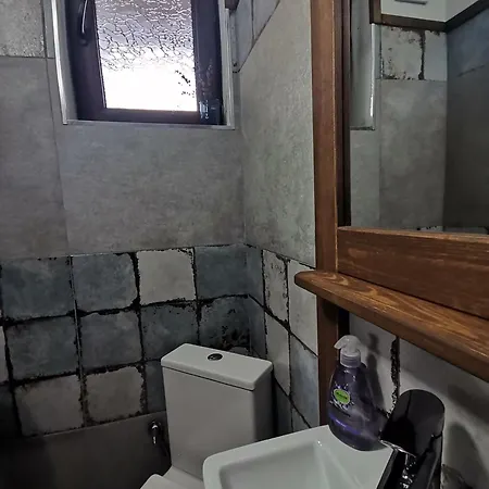 къщата на музиканта Pensiune Leşten