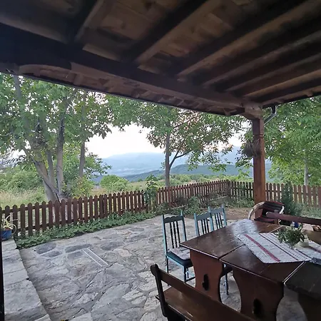 къщата на музиканта Pensiune