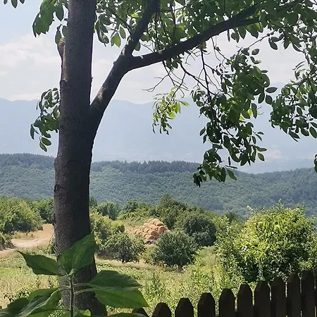 къщата на музиканта *