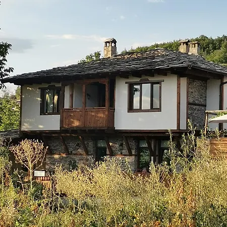 къщата на музиканта Pensionat Lesjten
