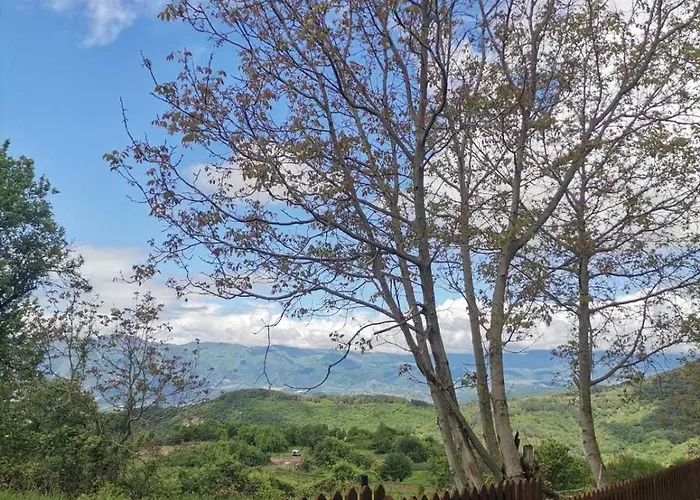 Πανσιόν къщата на музиканта 3*