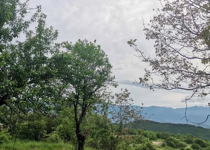 къщата на музиканта Leshten