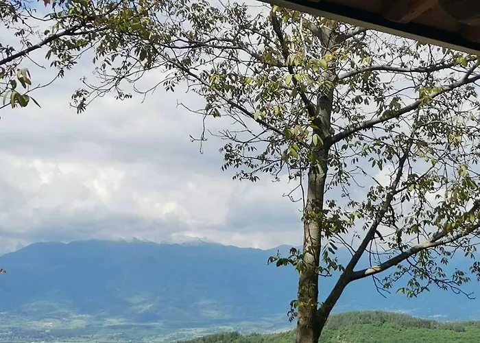 Πανσιόν къщата на музиканта