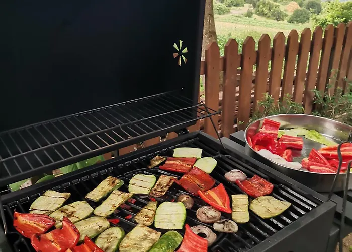 Πανσιόν къщата на музиканта