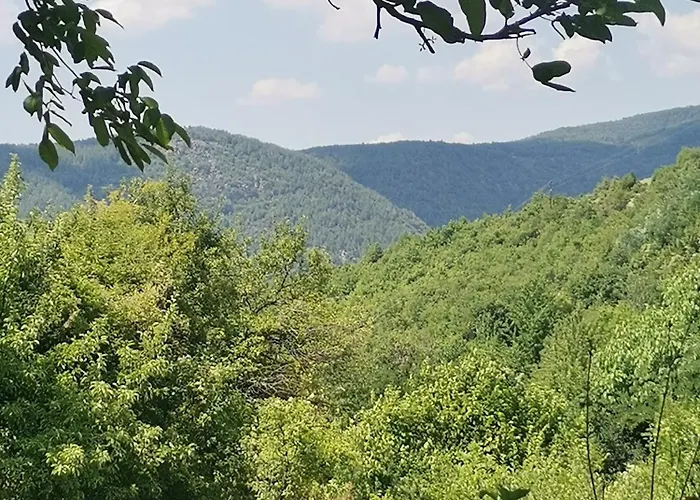 къщата на музиканта 3*